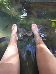 IMG_20250218_131507
