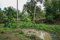 DSC03603