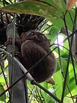 IMG_20250221_092641