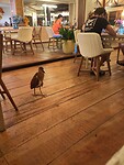 IMG_20250226_195032