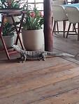 IMG_20250226_100955