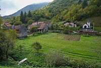 DSC03804