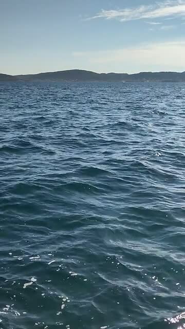 Het geluid van het zeeorgel van Zadar