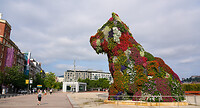 DSC04227