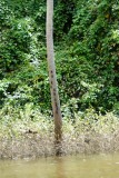 DSC01497 (683x1024)