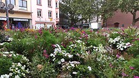 IMG_20210818_181648