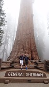 General Sherman