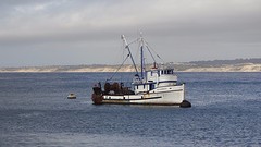 Monterey
