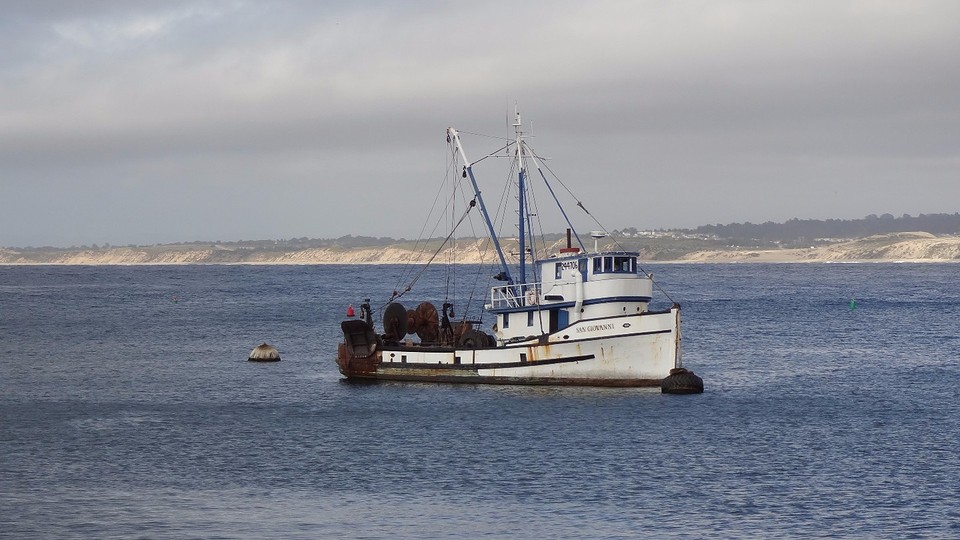 Monterey