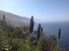 Highway 1 (4)