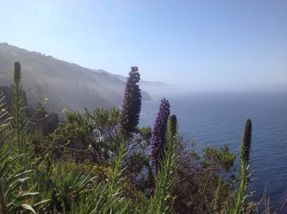 Highway 1 (4)