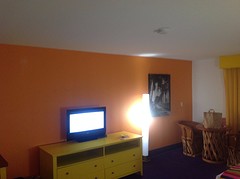 Oranje muur