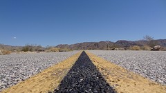 Joshua Tree (1)