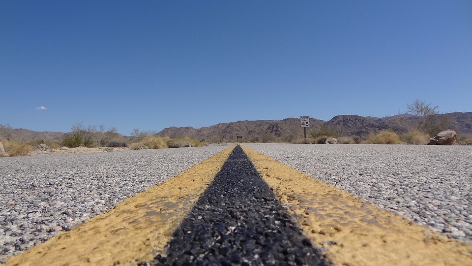 Joshua Tree (1)