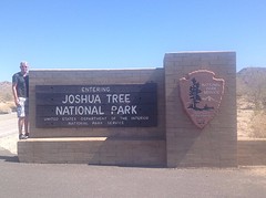 Joshua Tree (3)