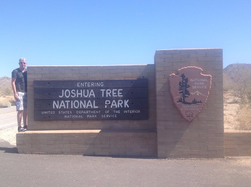 Joshua Tree (3)