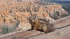 Bryce Canyon (5)