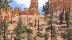 Bryce Canyon (9)