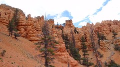 Bryce Canyon (11)