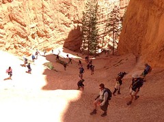 Bryce Canyon (13)