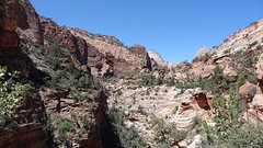 Zion National Park (3)