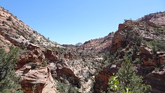 Zion National Park (5)