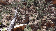 Zion National Park (8)