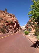 Zion National Park (13)