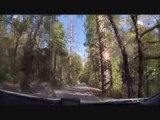 Stukje rijden door Yosemite National Park