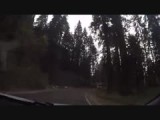 Sequoia National Park