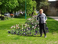 Tulpen uit......... grevelingen