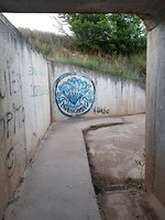 Graffiti Buen Camino