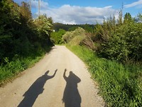 Bye Camino