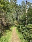 Wandelpad