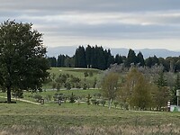 CC3D0AD4-7E6A-472D-BA92-90BFDFC5EF79