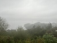 IMG_4343
