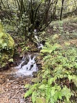 IMG_4358
