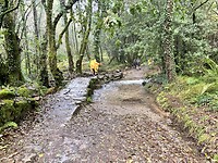 IMG_4359