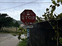 IMG_4364