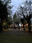 IMG_4388