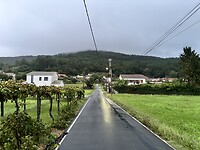 IMG_4389