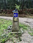 IMG_4391