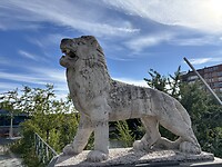 IMG_5262