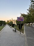 IMG_5274
