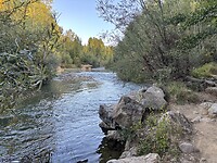 IMG_5279
