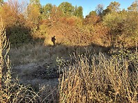IMG_5281