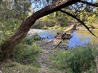 IMG_5288