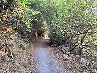 IMG_5296