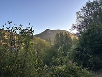 IMG_5295