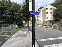 IMG_5382
